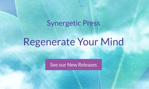 Synergetic Press