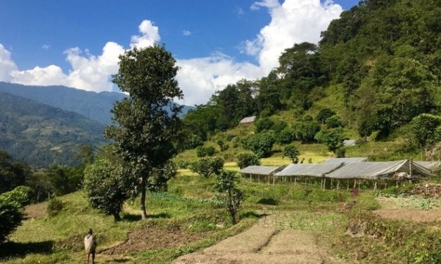 Saathi Bio Farm: Community Organic Market and Educational Centre in Nepal