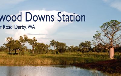Birdwood Downs, Australia