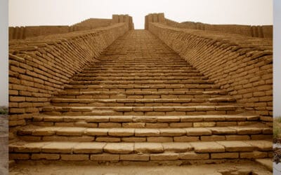 Eden in Iraq Honored by UNESCO Global Citizens as One of 100 Outstanding Projects Worldwide